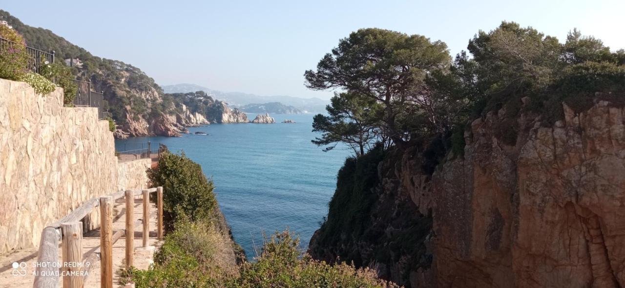 Villa Blanca 10 Minutos De La Playa Costa Brava Massanet De La Selva Екстер'єр фото